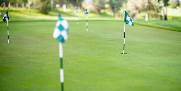 Gallery Golf 7