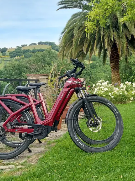 e bike