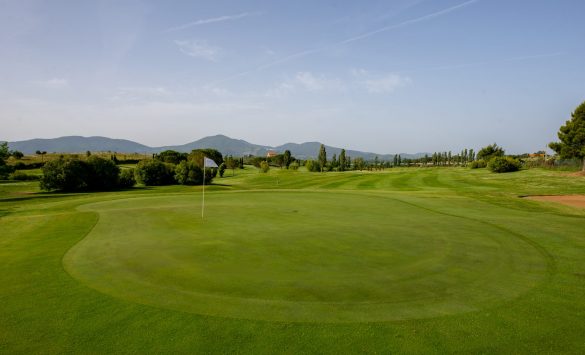 Golf6_.jpg