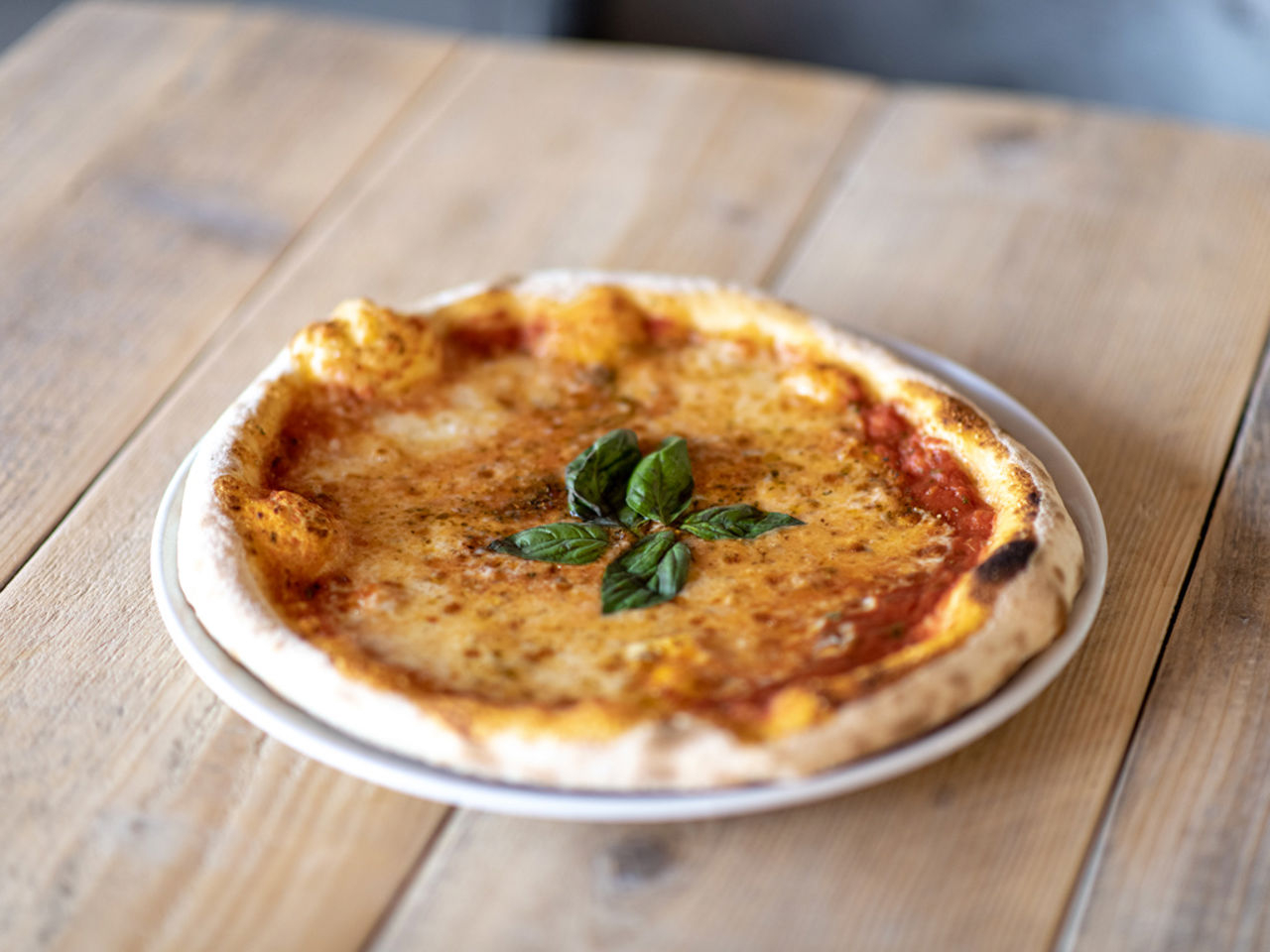 Gallery Food 3